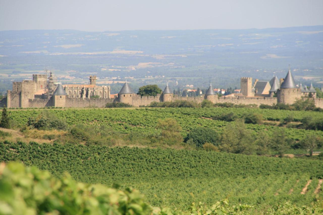 La Maison Sur La Colline Carcassonne Bagian luar foto